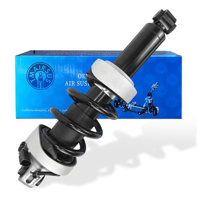 Przód lewy z reklamami Zawieszenie pneumatyczne do Au-Di R8 420412019AG