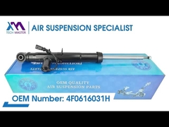 Tech Master TMAIRSUS Lewy tylny amortyzator dla Audi A6L/C6