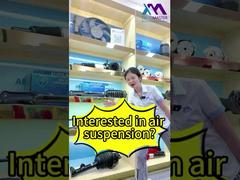 Tech Master = Twoje profesjonalne źródło fabryczne amortyzatorów pneumatycznych