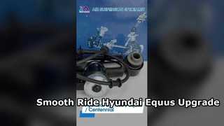 Zestaw zawieszenia pneumatycznego Tech Master TMAIRSUS z EDC do Hyundaia Equus